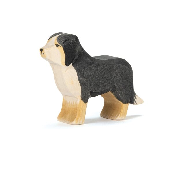 Ostheimer Berner Sennhund