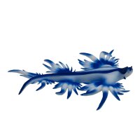 Bullyland Blaue Ozeanschnecke