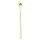 rice Melamine Latte Spoon with Forest Green Favorite Hearts Prints